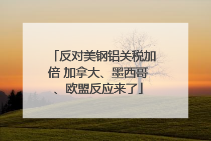 反对美钢铝关税加倍 加拿大、墨西哥、欧盟反应来了
