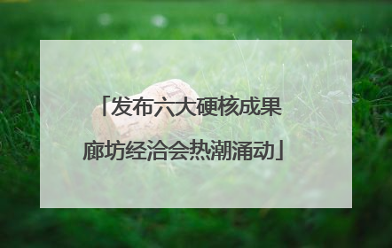 发布六大硬核成果 廊坊经洽会热潮涌动