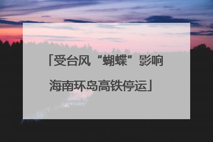 受台风“蝴蝶”影响 海南环岛高铁停运
