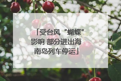 受台风“蝴蝶”影响 部分进出海南岛列车停运