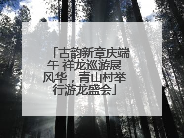 古韵新章庆端午 祥龙巡游展风华，青山村举行游龙盛会