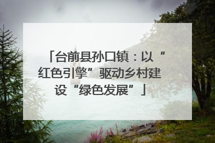 台前县孙口镇：以“红色引擎”驱动乡村建设“绿色发展”