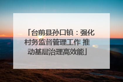 台前县孙口镇：强化村务监督管理工作 推动基层治理高效能