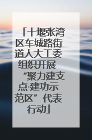 十堰张湾区车城路街道人大工委组织开展 “聚力建支点·建功示范区”代表行动