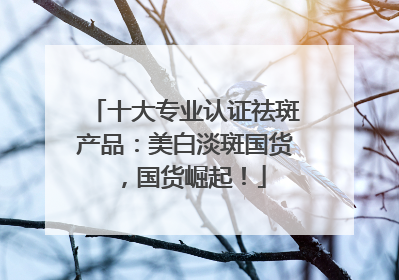 十大专业认证祛斑产品：美白淡斑国货，国货崛起！
