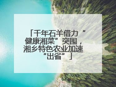 千年石羊借力“健康湘菜”突围，湘乡特色农业加速“出省”