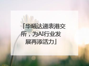 华曦达递表港交所，为AI行业发展再添活力