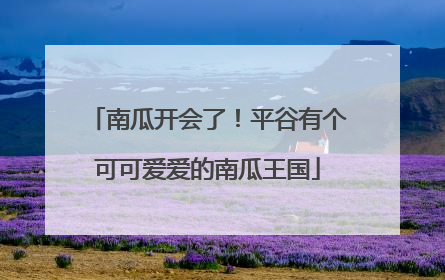 南瓜开会了！平谷有个可可爱爱的南瓜王国