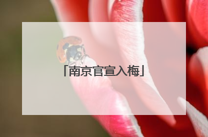 南京官宣入梅