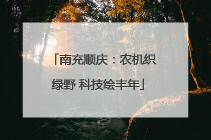 南充顺庆：农机织绿野 科技绘丰年