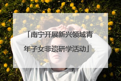 南宁开展新兴领域青年子女非遗研学活动