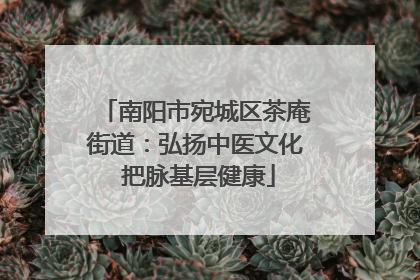 南阳市宛城区茶庵街道：弘扬中医文化 把脉基层健康