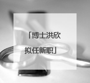 博士洪欣拟任新职