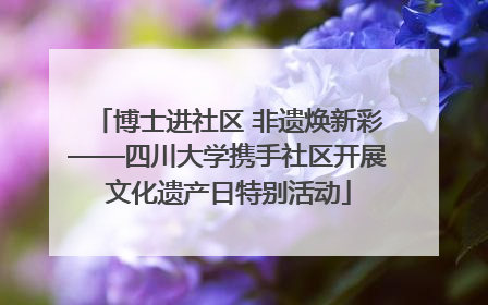 博士进社区 非遗焕新彩——四川大学携手社区开展文化遗产日特别活动