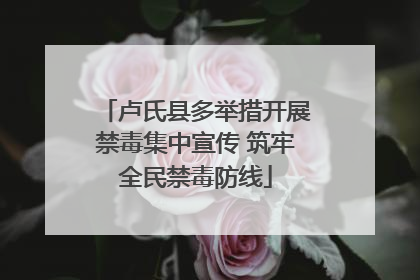 卢氏县多举措开展禁毒集中宣传 筑牢全民禁毒防线