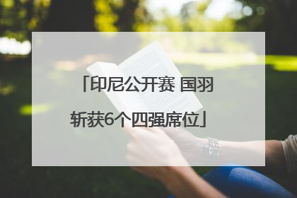 印尼公开赛 国羽斩获6个四强席位