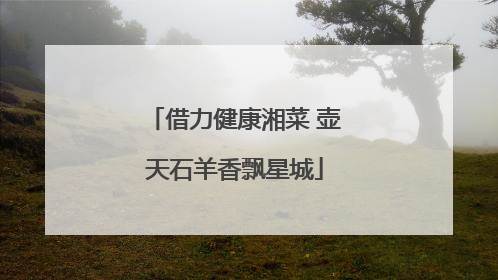 借力健康湘菜 壶天石羊香飘星城