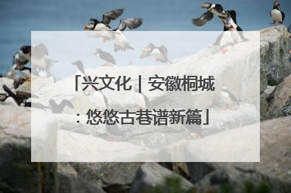 兴文化｜安徽桐城：悠悠古巷谱新篇