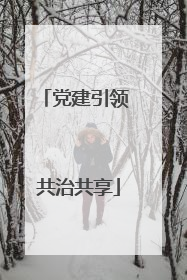 党建引领 共治共享