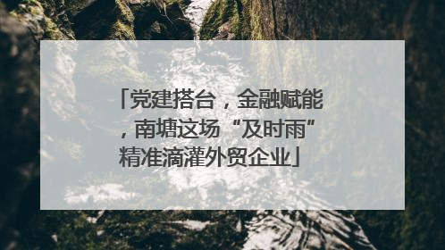 党建搭台，金融赋能，南塘这场“及时雨”精准滴灌外贸企业