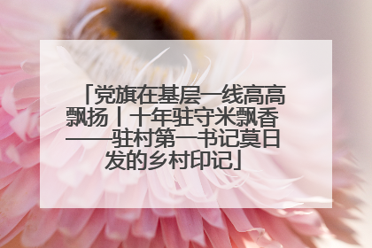 党旗在基层一线高高飘扬丨十年驻守米飘香——驻村第一书记莫日发的乡村印记