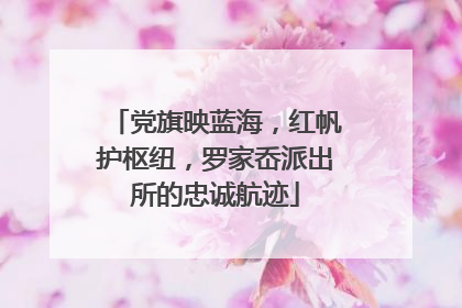 党旗映蓝海，红帆护枢纽，罗家岙派出所的忠诚航迹