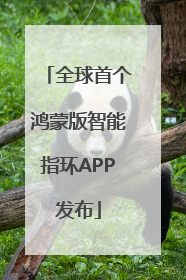 全球首个鸿蒙版智能指环APP发布