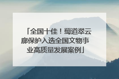 全国十佳！蜀道翠云廊保护入选全国文物事业高质量发展案例