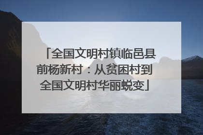 全国文明村镇临邑县前杨新村：从贫困村到全国文明村华丽蜕变