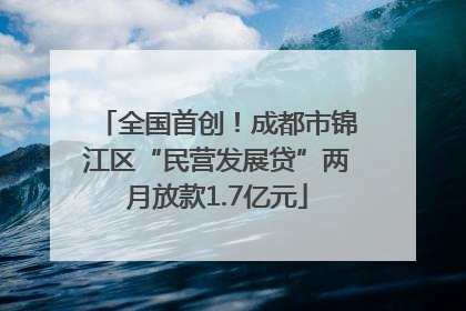 全国首创！成都市锦江区“民营发展贷”两月放款1.7亿元