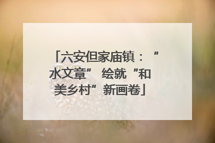 六安但家庙镇：“水文章” 绘就“和美乡村”新画卷