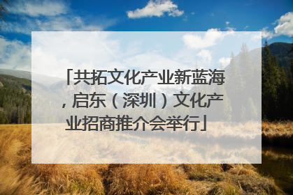 共拓文化产业新蓝海，启东（深圳）文化产业招商推介会举行