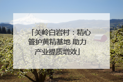 关岭白岩村：精心管护黄精基地 助力产业提质增效