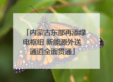 内蒙古东部再添绿电枢纽 新能源外送通道全面贯通