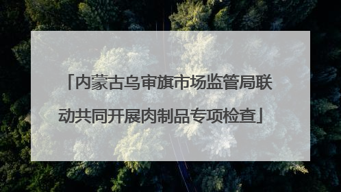 内蒙古乌审旗市场监管局联动共同开展肉制品专项检查