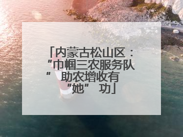内蒙古松山区：“巾帼三农服务队” 助农增收有 “她” 功