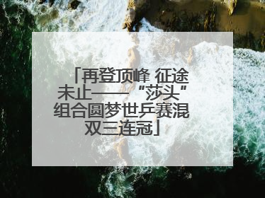 再登顶峰 征途未止——“莎头”组合圆梦世乒赛混双三连冠