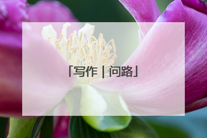 写作｜问路