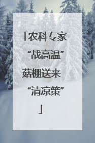 农科专家“战高温” 菇棚送来“清凉策”