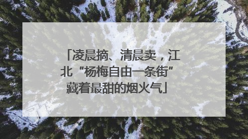 凌晨摘、清晨卖，江北“杨梅自由一条街”藏着最甜的烟火气