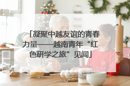凝聚中越友谊的青春力量——越南青年“红色研学之旅”见闻