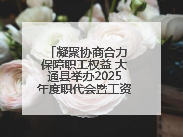凝聚协商合力 保障职工权益 大通县举办2025年度职代会暨工资集体协商现场观摩交流活动