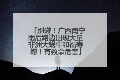 别碰！广西南宁雨后路边出现大量非洲大蜗牛和福寿螺！有致命危害