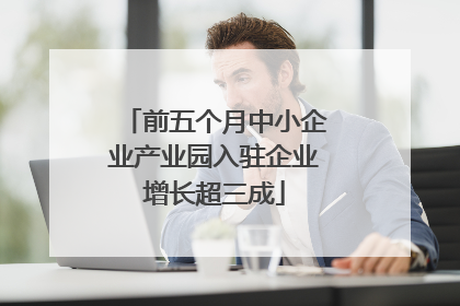 前五个月中小企业产业园入驻企业增长超三成