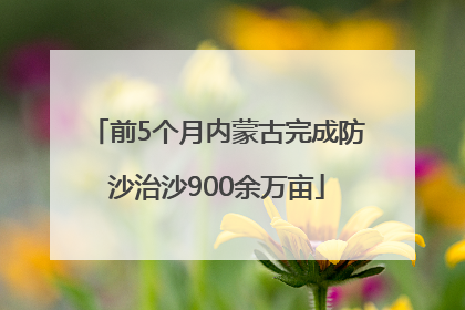 前5个月内蒙古完成防沙治沙900余万亩