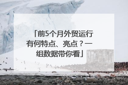 前5个月外贸运行有何特点、亮点？一组数据带你看