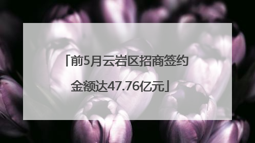 前5月云岩区招商签约金额达47.76亿元