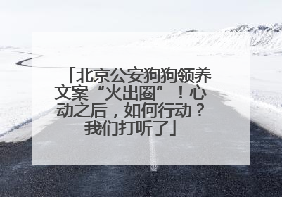 北京公安狗狗领养文案“火出圈”！心动之后，如何行动？我们打听了