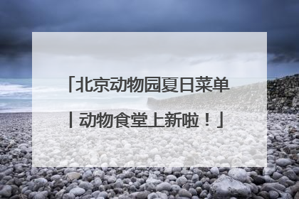 北京动物园夏日菜单丨动物食堂上新啦！