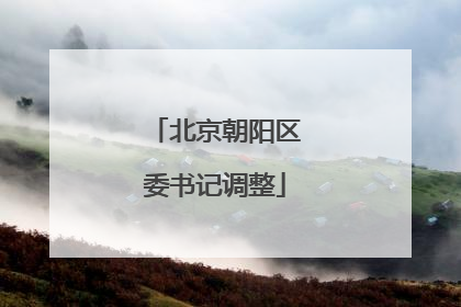 北京朝阳区委书记调整